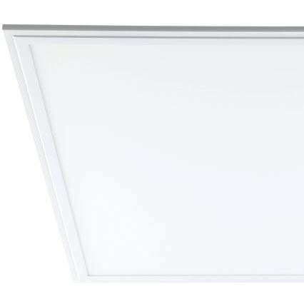 Eglo - LED stropný panel LED/40W/230V