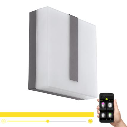 Eglo - LED Stmievateľné vonkajšie nástenné svietidlo TORAZZA-C LED/14W/230V IP44