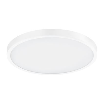 Eglo - LED Stropné svietidlo 1xLED/25W/230V biela okrúhly 2500 lm