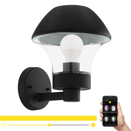 Eglo 97446 - LED Stmievateľné vonkajšie nástenné svietidlo VERLUCCA-C 1xE27/9W/230V IP44 Bluetooth