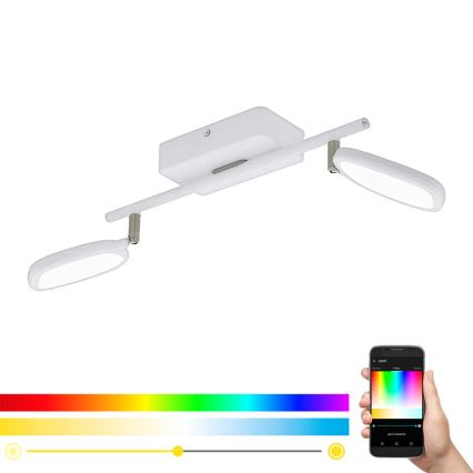 Eglo 97692 - LED RGB Bodové svietidlo PALOMBARE-C 2xLED/5W/230V