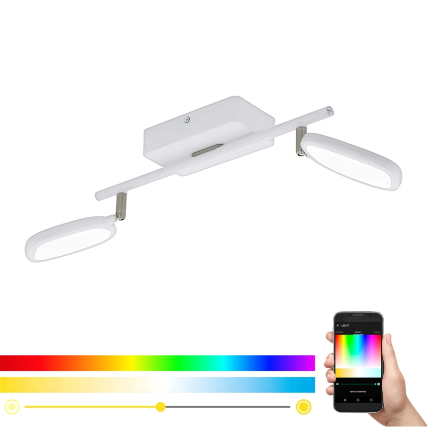 Eglo 97692 - LED RGB Bodové svietidlo PALOMBARE-C 2xLED/5W/230V