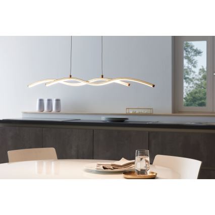 Eglo - LED Luster na lanku 2xLED/8,5W/230V