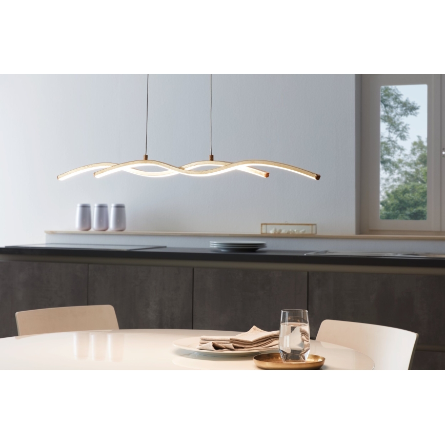 Eglo - LED Luster na lanku 2xLED/8,5W/230V