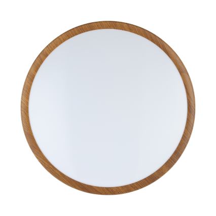 Eglo - LED Stropné svietidlo LED/14,6W/230V