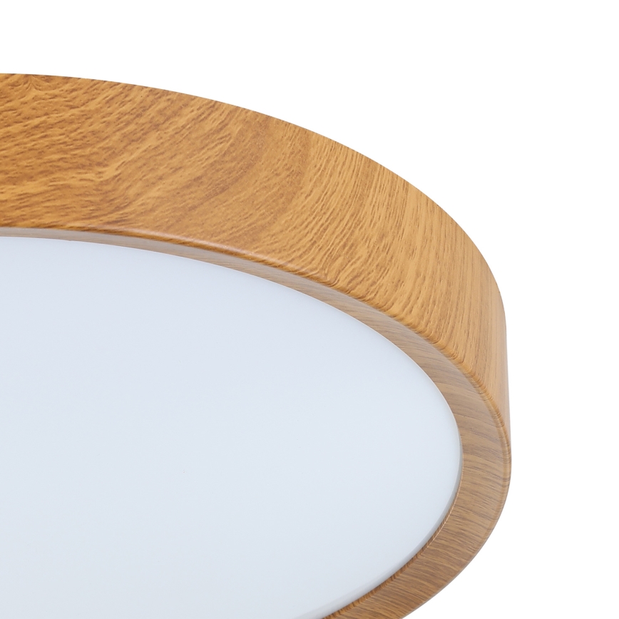 Eglo - LED Stropné svietidlo LED/14,6W/230V