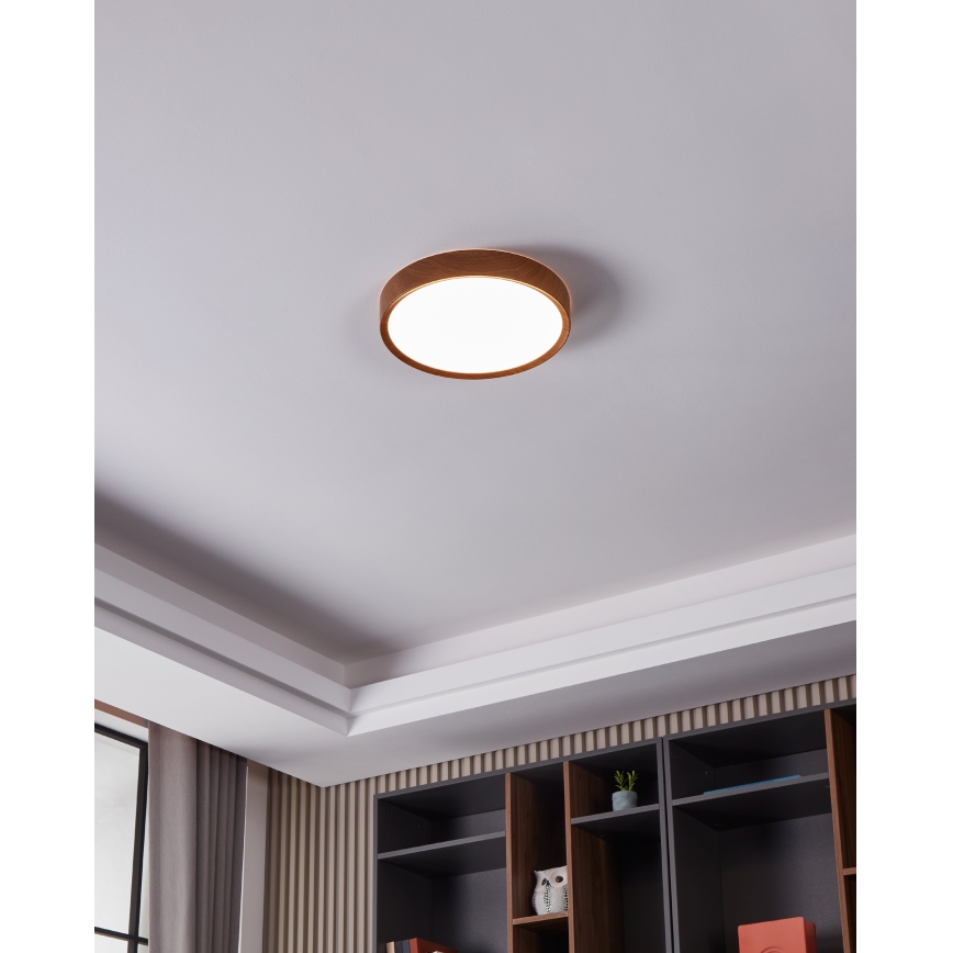 Eglo - LED Stropné svietidlo LED/14,6W/230V