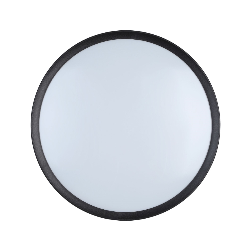 Eglo - LED Stropné svietidlo LED/16,8W/230V