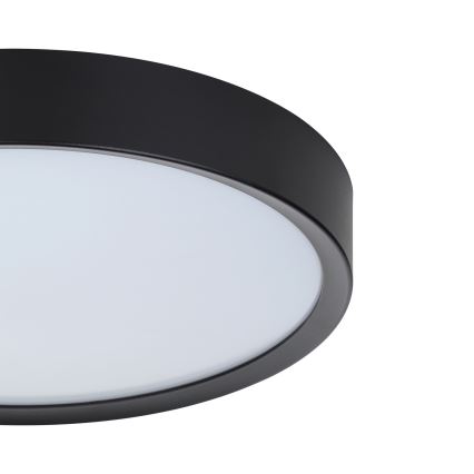 Eglo - LED Stropné svietidlo LED/16,8W/230V