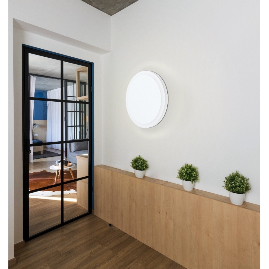 Eglo - LED Stropné svietidlo LED/8,6W/230V