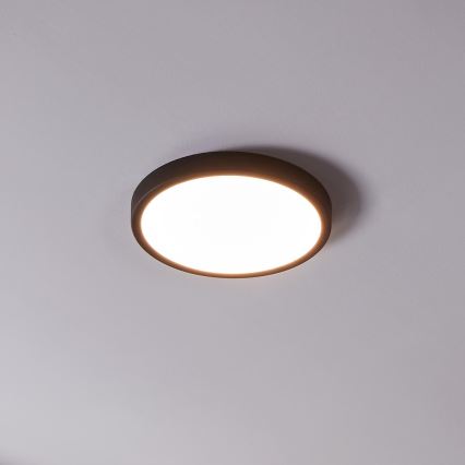 Eglo - LED Stmievateľné kúpeľňové svietidlo LED/19,5W/230V IP44 ZigBee