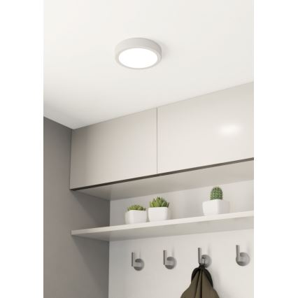 Eglo - LED Stropné svietidlo LED/10,5W/230V