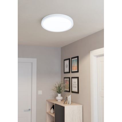 Eglo - LED Stropné svietidlo LED/20W/230V