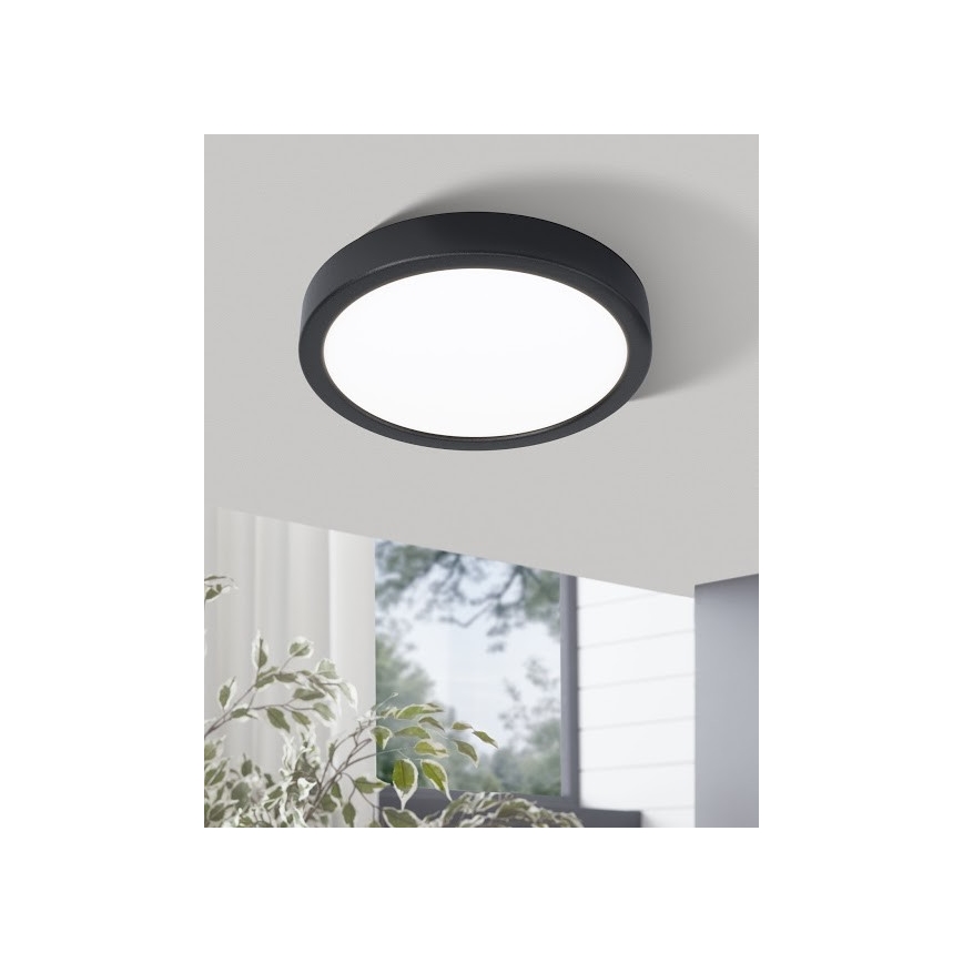 Eglo - LED Stropné svietidlo LED/20W/230V