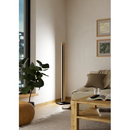 Eglo - LED Stmievateľná dotyková stojacia lampa CAMACHO LED/22W/230V