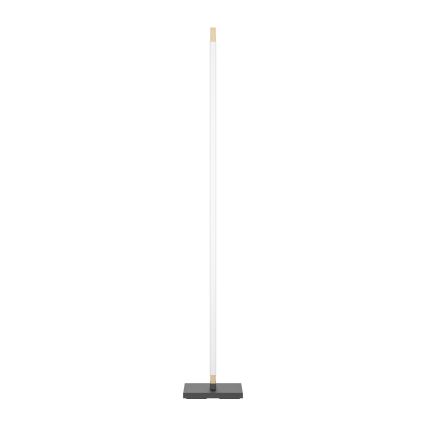Eglo - LED Stmievateľná dotyková stojacia lampa CAMACHO LED/22W/230V