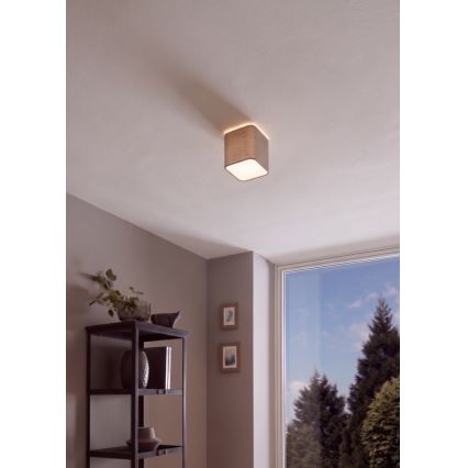 Eglo - Stropné svietidlo 1xE27/28W/230V