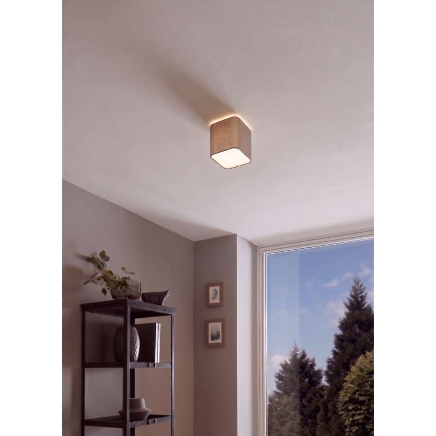 Eglo - Stropné svietidlo 1xE27/28W/230V