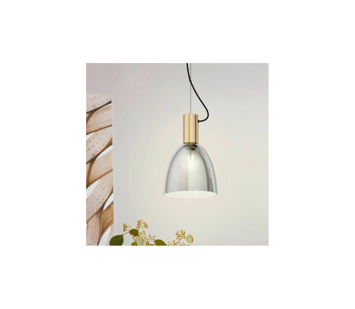 Eglo 99313 - Závesný luster na lanku LEBALIO 1xE27/40W/230V 99313