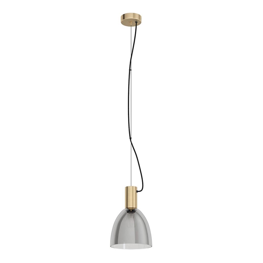 Eglo 99313 - Závesný luster na lanku LEBALIO 1xE27/40W/230V