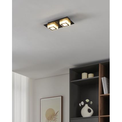 Eglo 99362 - LED Stropné svietidlo MASIANO 2xLED/3,3W/230V
