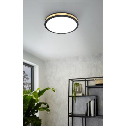 Eglo - LED Stropné svietidlo LED/11W/230V