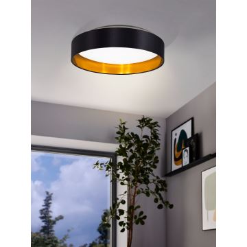 Eglo - LED Stropné svietidlo LED/24W/230V