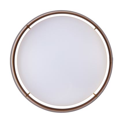 Eglo - LED Stropné svietidlo LED/24W/230V