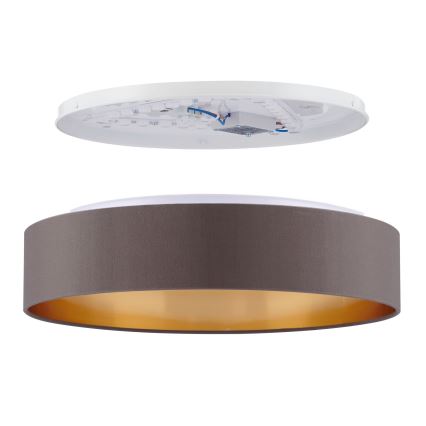 Eglo - LED Stropné svietidlo LED/24W/230V