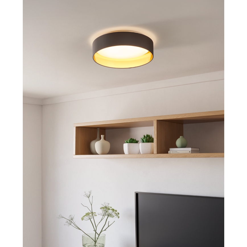 Eglo - LED Stropné svietidlo LED/24W/230V