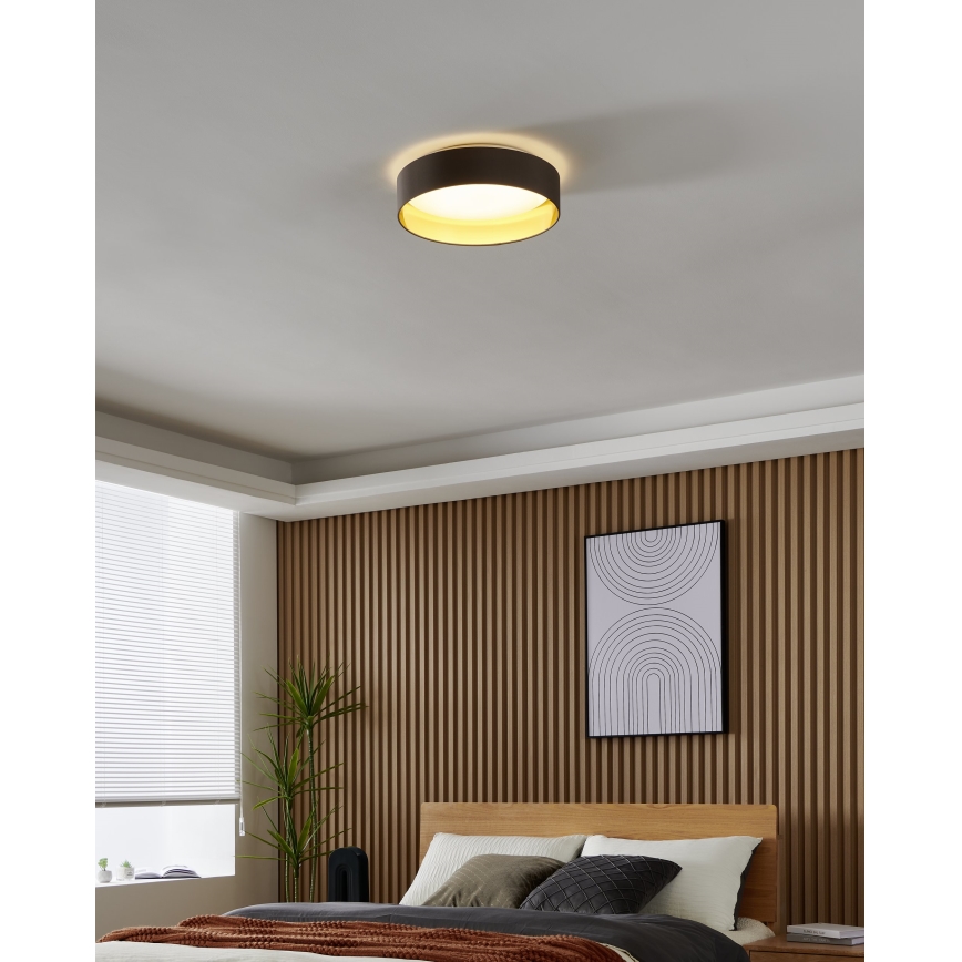 Eglo - LED Stropné svietidlo LED/24W/230V