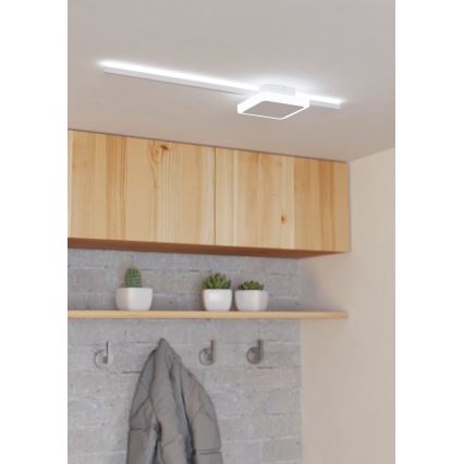 Svietidlo svieti v chodbe. Je pripevnené k stropu nad drevenými skrinkami a poličkou s kvetináčmi. Na stene sú háčiky na oblečenie.