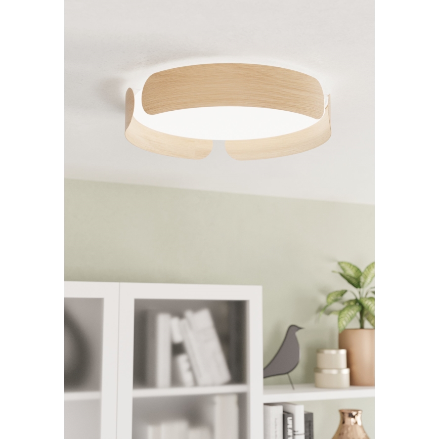 Eglo - LED Stropné svietidlo LED/24W/230V