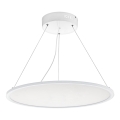 Eglo - LED Luster na lanku 1xLED/36W/230V