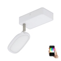 Eglo - LED RGB Bodové svietidlo PALOMBARE-C 1xLED/5W/230V