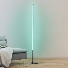 Eglo - LED RGB Stmievateľná stojacia lampa LED/13,5W/230V 2700-6500K + diaľkové ovládanie