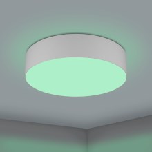 Eglo - LED RGBW Stmievateľné stropné svietidlo LED/35W/230V 2700-6500K šedá