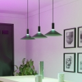Eglo - LED RGBW Stmievateľný luster na lane 3xLED/7,5W/230V 2700-6500K čierny