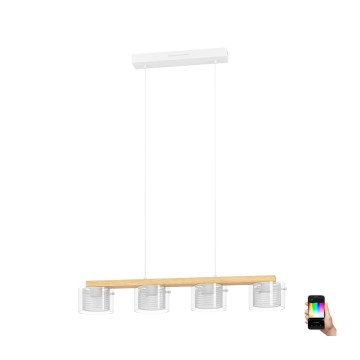 Eglo - LED RGBW Stmievateľný luster na lanku 4xLED/3,7W/230V 2700-6500K