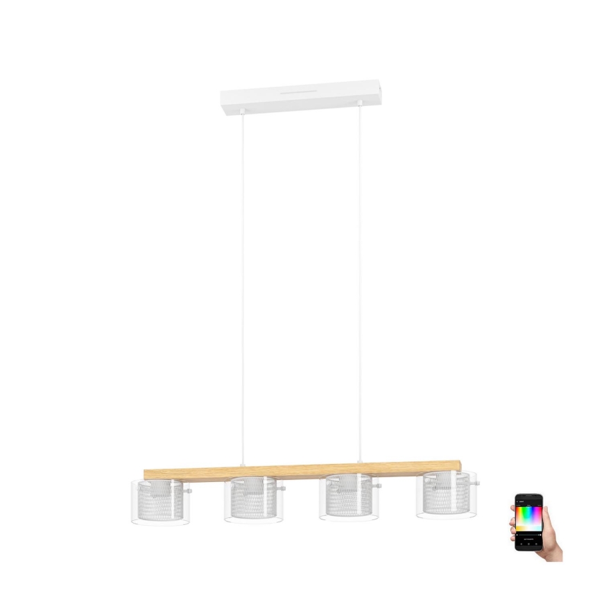 Eglo - LED RGBW Stmievateľný luster na lanku 4xLED/3,7W/230V 2700-6500K