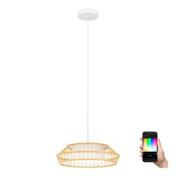 Eglo - LED RGBW Stmievateľný luster na lanku LED/22W/230V 2700-6500K