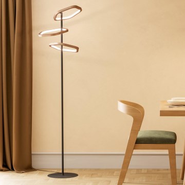 Eglo - LED stmievateľná stojacia lampa LED/20W/230V 2200-6500K mosadz