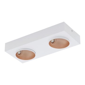 Eglo - LED Stmievateľné stropné svietidlo 2xLED/3,3W/230V