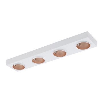 Eglo - LED Stmievateľné stropné svietidlo 4xLED/3,3W/230V