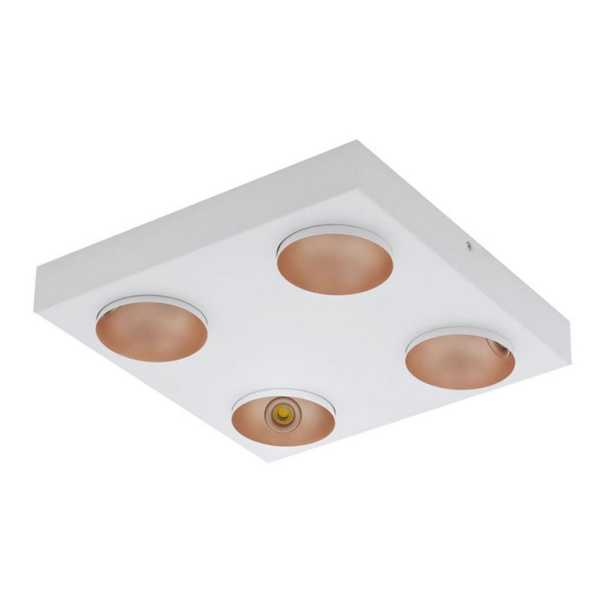 Eglo - LED Stmievateľné stropné svietidlo 4xLED/3,3W/230V