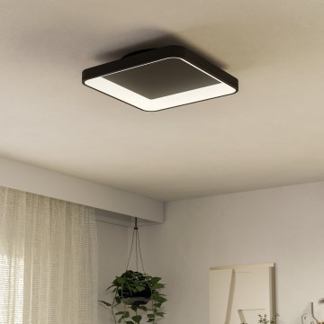 Eglo - LED Stmievateľné stropné svietidlo LED/12W/230V 2700-6500K čierna + diaľkové ovládanie