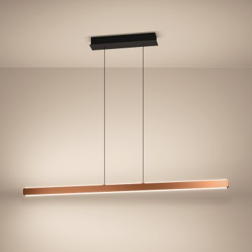 Eglo - LED stmievateľný luster na lane LED/30W/230V 2200-6500K zlatá + diaľkové ovládanie