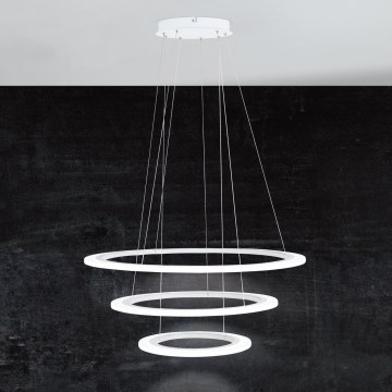 Eglo - LED stmievateľný luster na lane LED/45W/230V + LED/33W + LED/19,5W