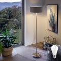 Eglo - LED  Stojacia lampa TUNJA 1xE27/60W/230V matný chróm/hnedá