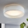 Eglo - LED stropné svietidlo 1xLED/11W/230V